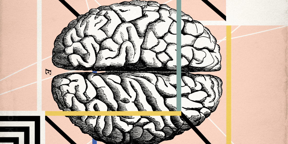 the brain that fixes itself